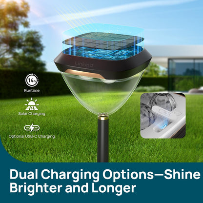 Smart solar path lights, color-changing landscape lighting