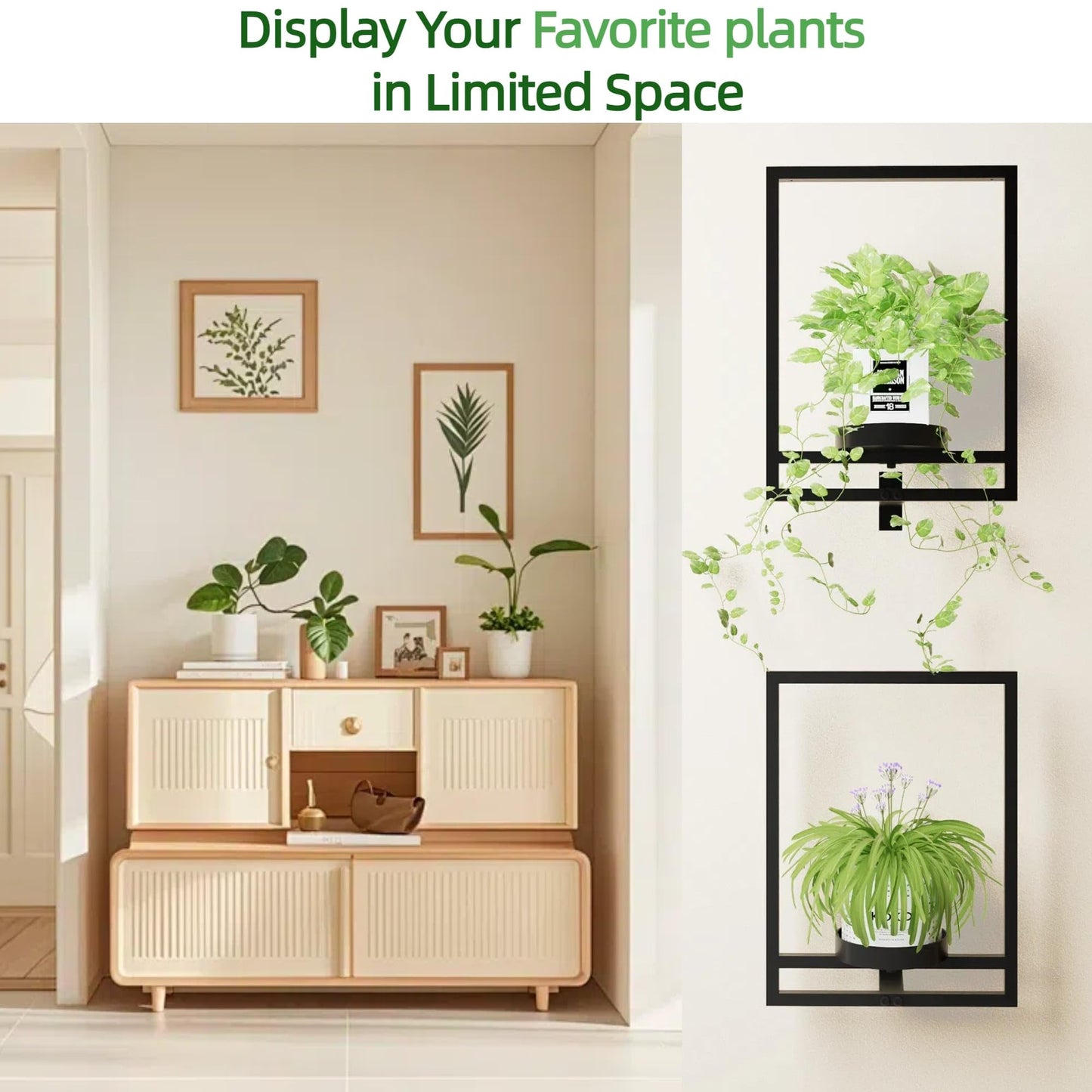 last day 49% 🔥Frame wall plant stand🎉