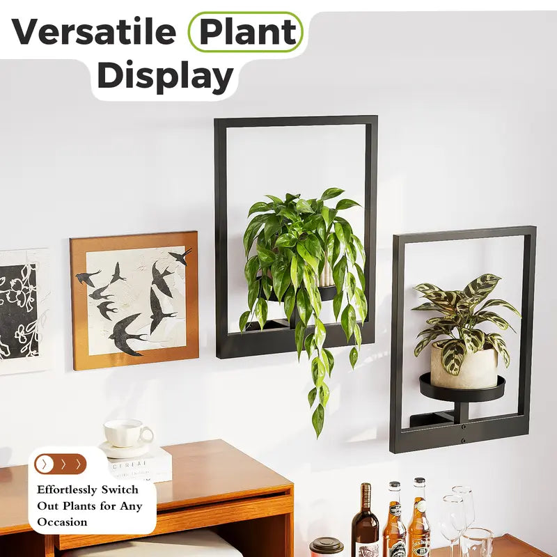 last day 49% 🔥Frame wall plant stand🎉